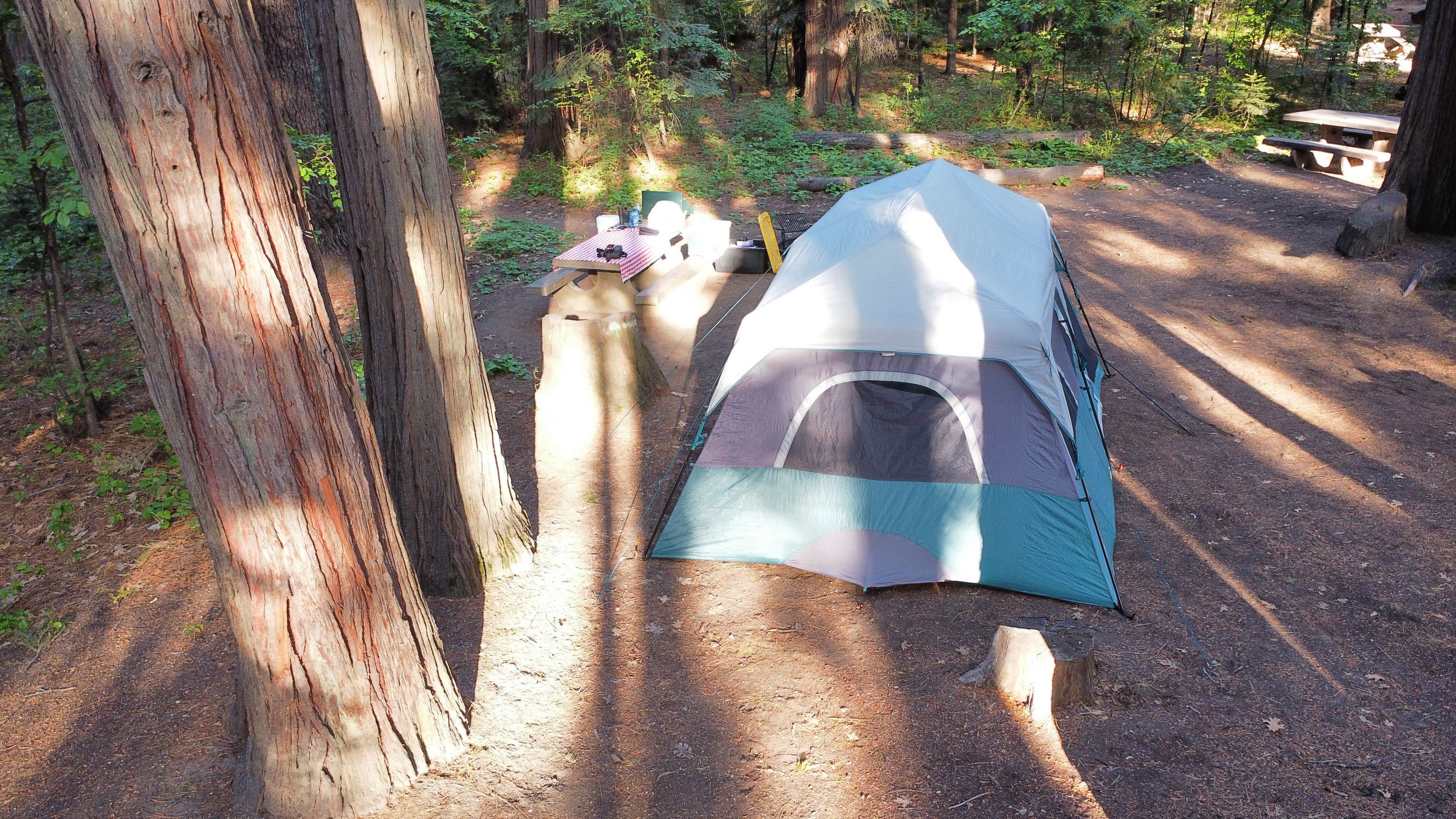 Andrew M.'s photo at Mount Shasta City KOA Holiday near Weed, CA