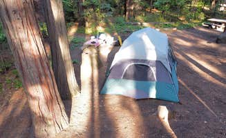 Andrew M.'s photo at Mount Shasta City KOA Holiday near Weed, CA