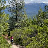 Review photo of Mount Shasta City KOA by Andrew M., June 26, 2022