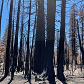 Review photo of Warner Valley Campground — Lassen Volcanic National Park by Andrew M., June 26, 2022