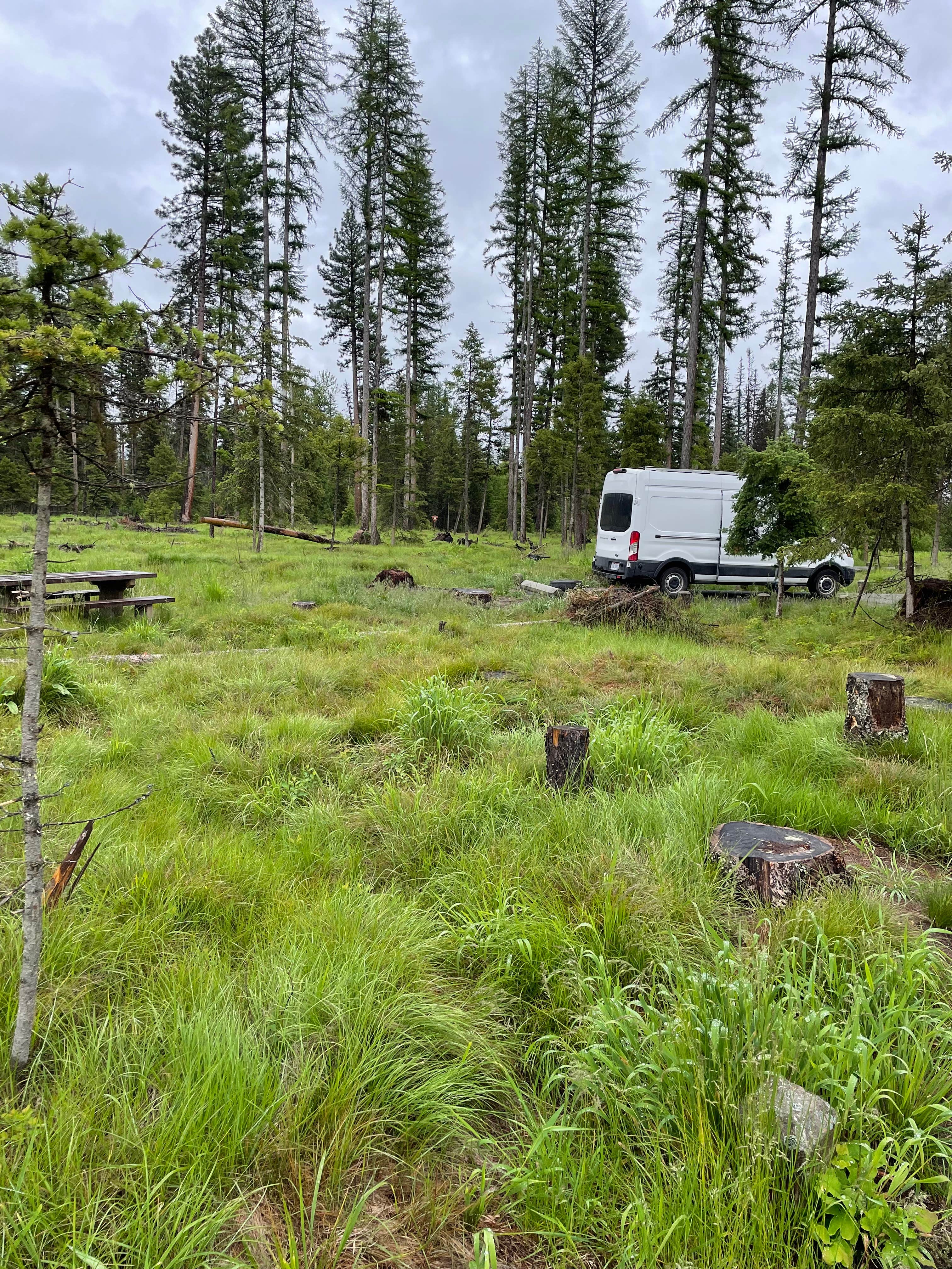 Camper-submitted photo at Big Larch Campground near Seeley Lake, MT