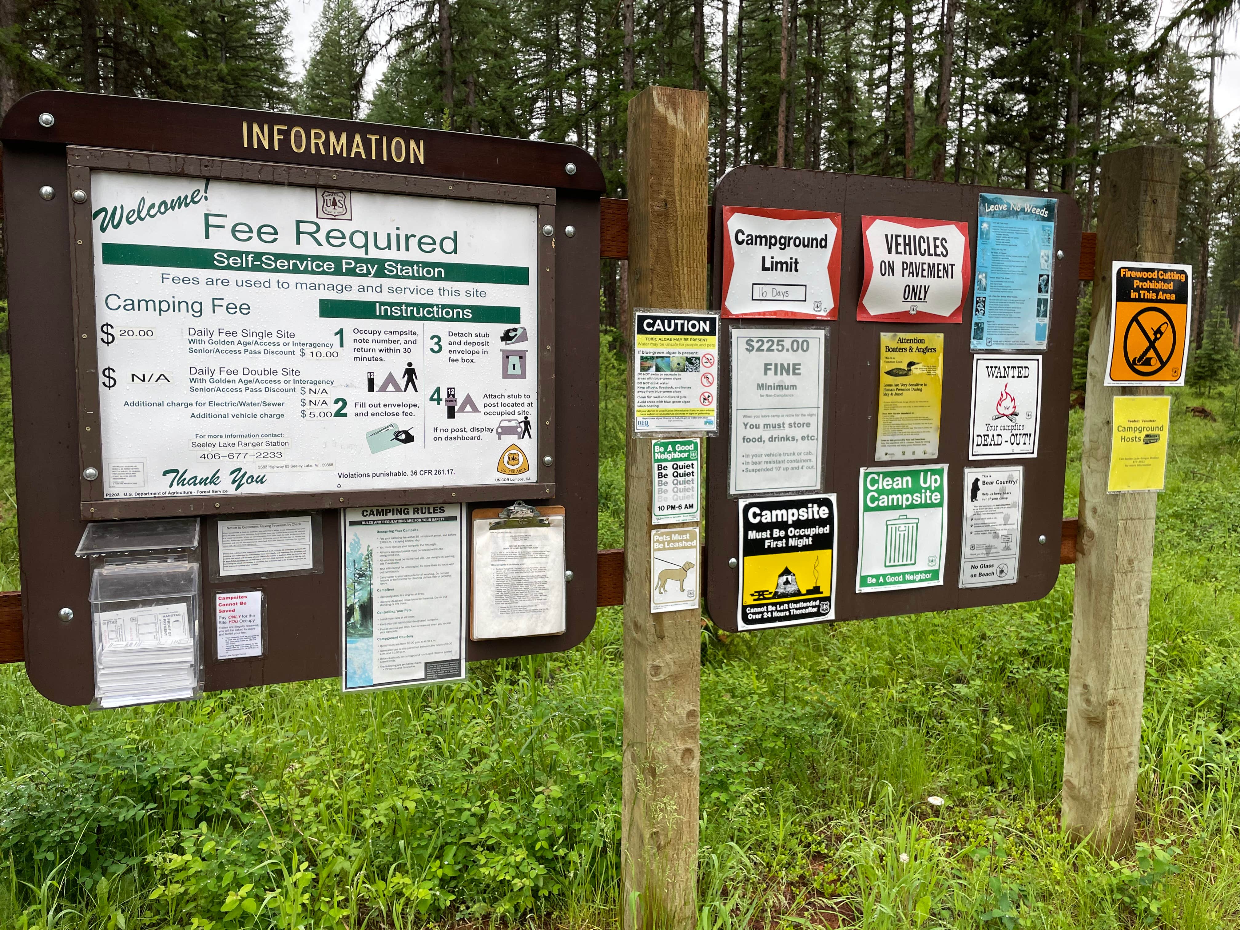 Camper-submitted photo at Big Larch Campground near Seeley Lake, MT