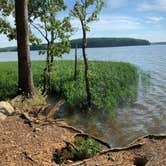 Review photo of Badin Lake Campground by A P., June 26, 2022