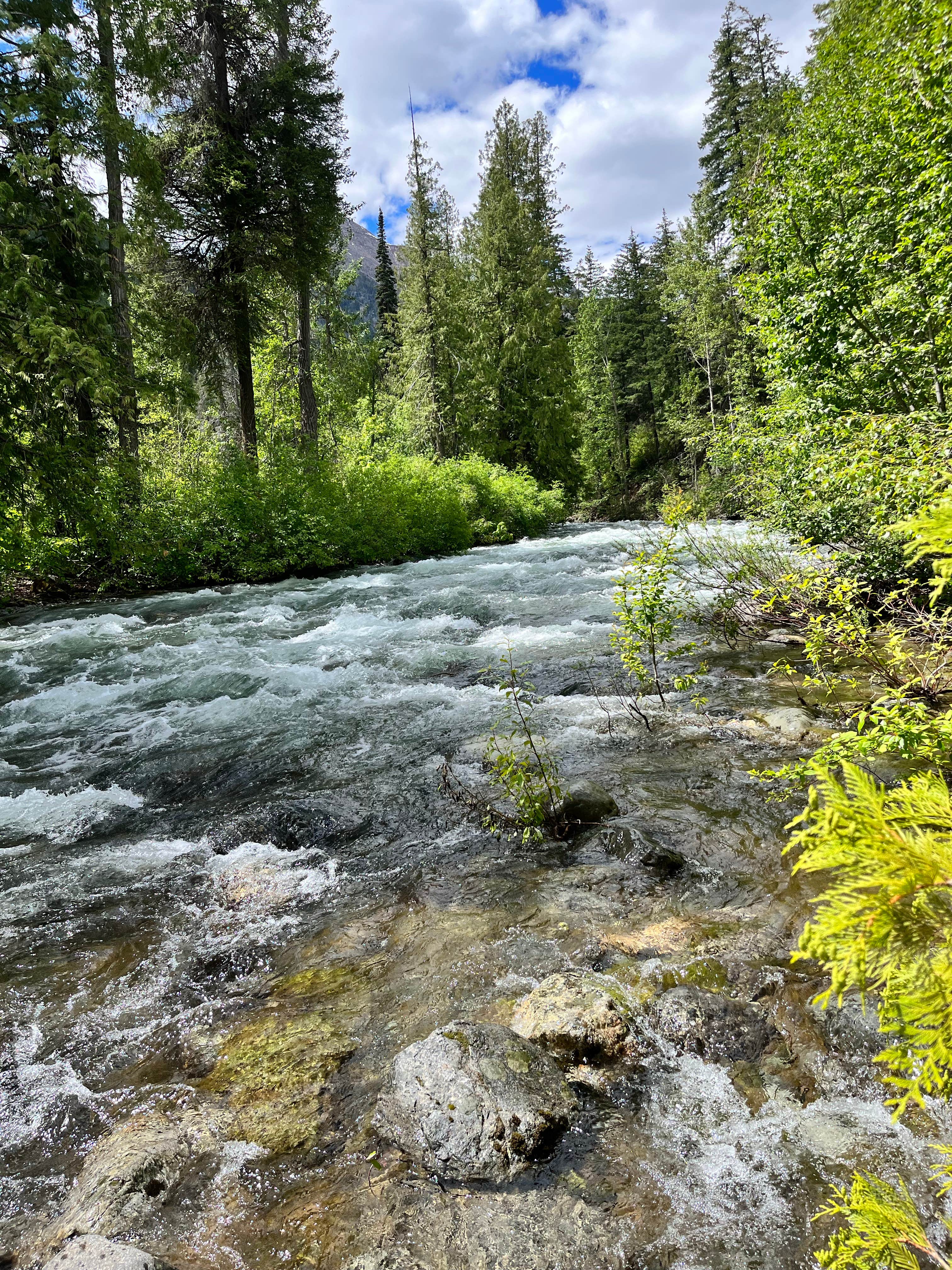 Camper submitted image from Okanogan National Forest Ballard Campground - 3