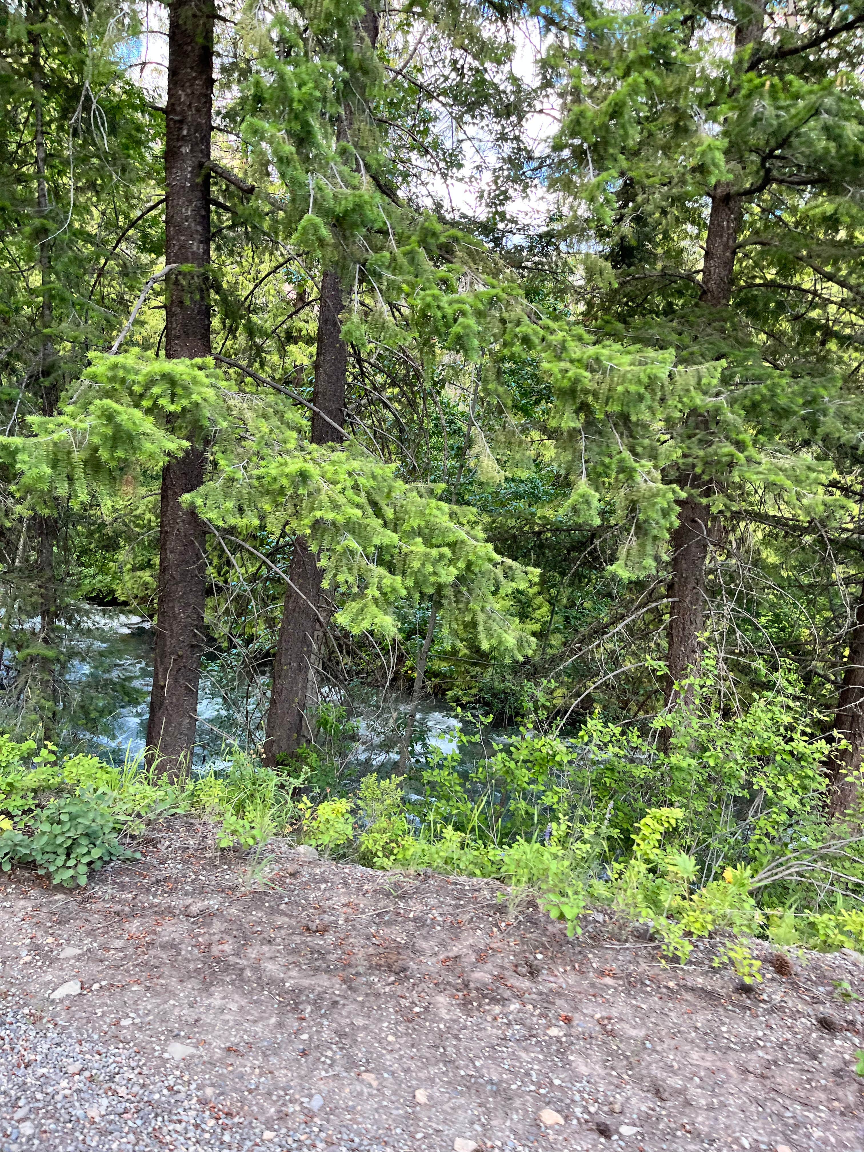 Camper-submitted photo at Okanogan National Forest Ballard Campground near Mazama, WA