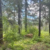 Review photo of Okanogan National Forest Ballard Campground by Bradee A., June 27, 2022