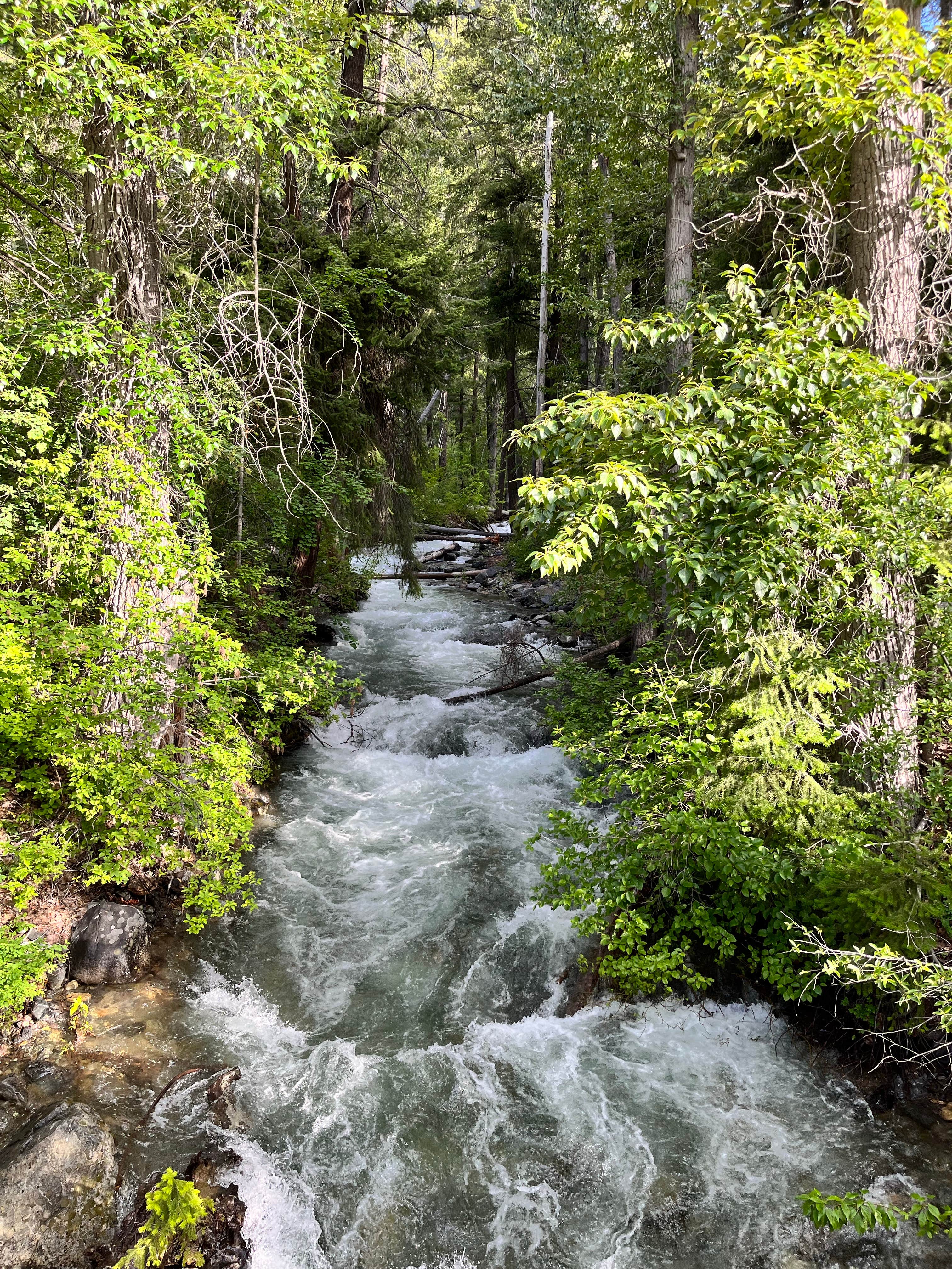 Camper-submitted photo at Okanogan National Forest Ballard Campground near Mazama, WA