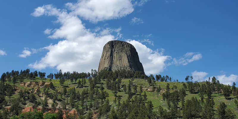 Camper submitted image from Wyatt's Hideaway Campground