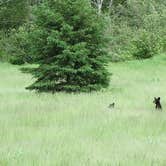 Review photo of Apostle Islands Area RV park and Camping by Macel C., June 27, 2022