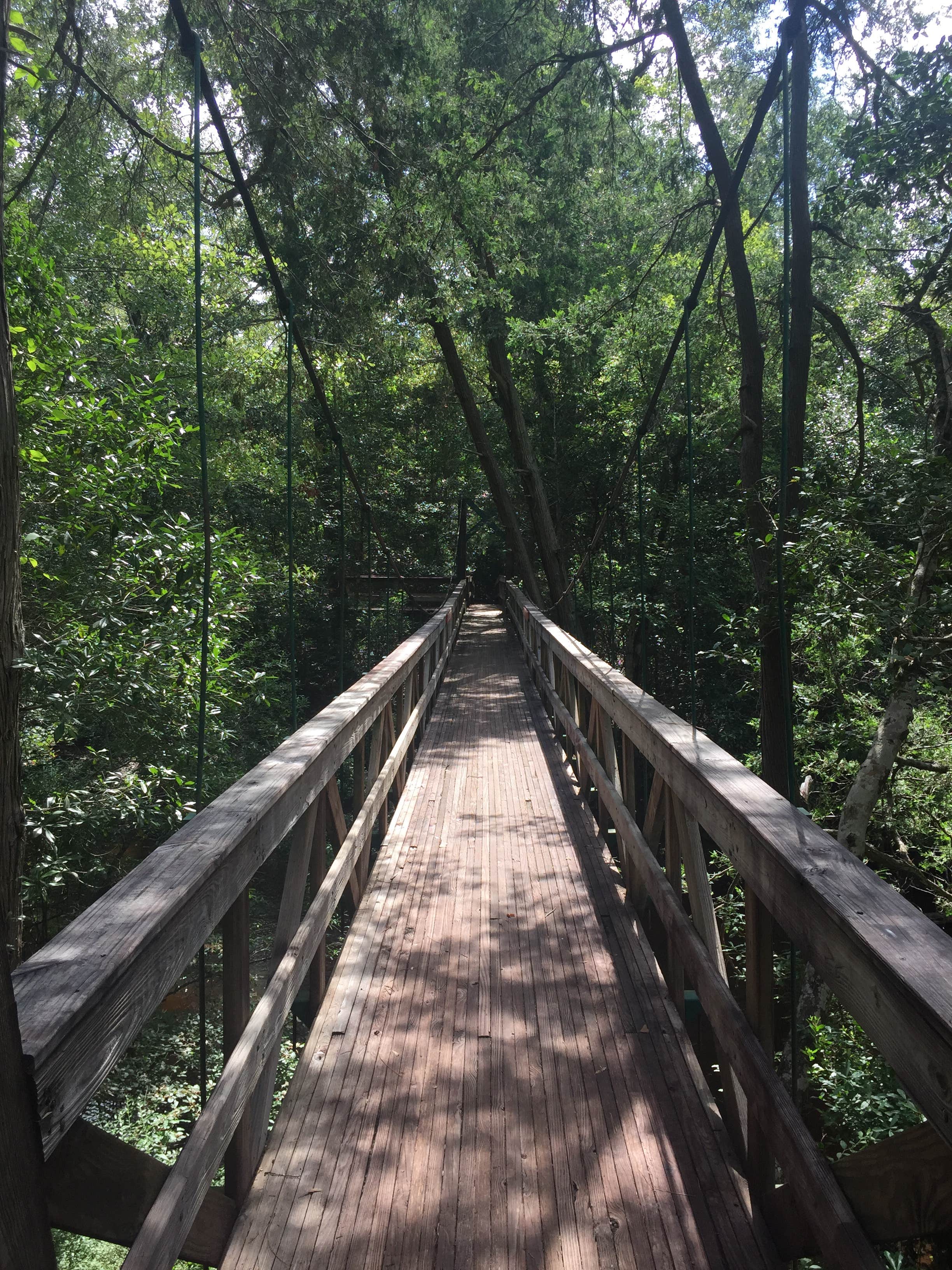 Camper submitted image from Krul Recreation Area - Blackwater River State Forest - 5
