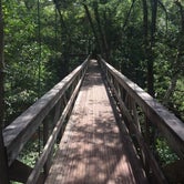Review photo of Krul Recreation Area - Blackwater River State Forest by Sherry P., June 27, 2022