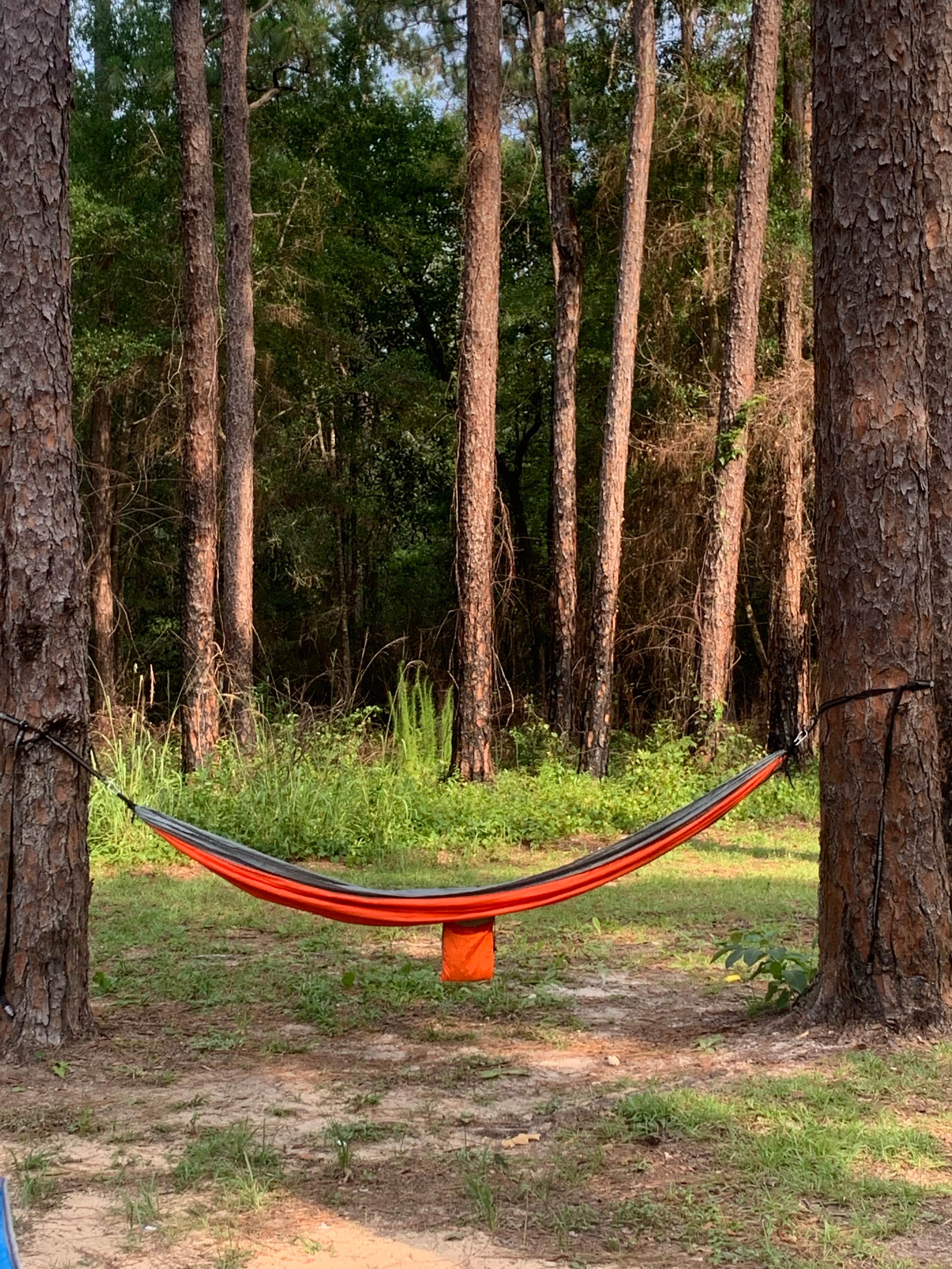 Camper submitted image from Krul Recreation Area - Blackwater River State Forest - 3