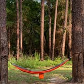 Review photo of Krul Recreation Area - Blackwater River State Forest by Sherry P., June 27, 2022