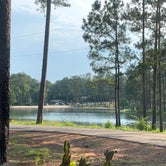 Review photo of Krul Recreation Area - Blackwater River State Forest by Sherry P., June 27, 2022