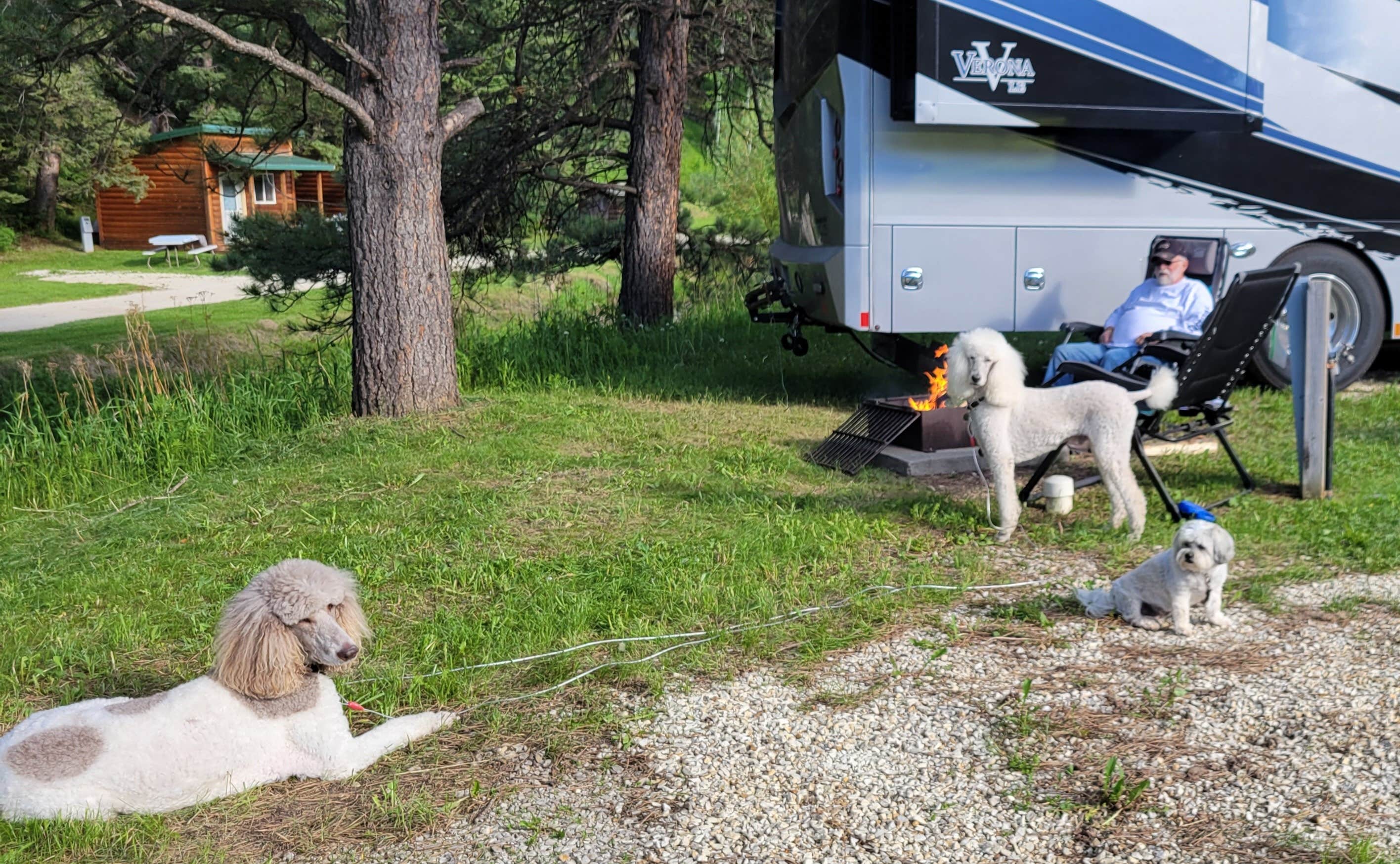 Angela M.'s photo of camping with pets at Wild Bill's Campground near Spearfish, SD