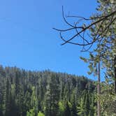 Review photo of Wild Bill's Campground by Angela M., June 27, 2022