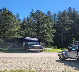 Camper-submitted photo from Wild Bill's Campground