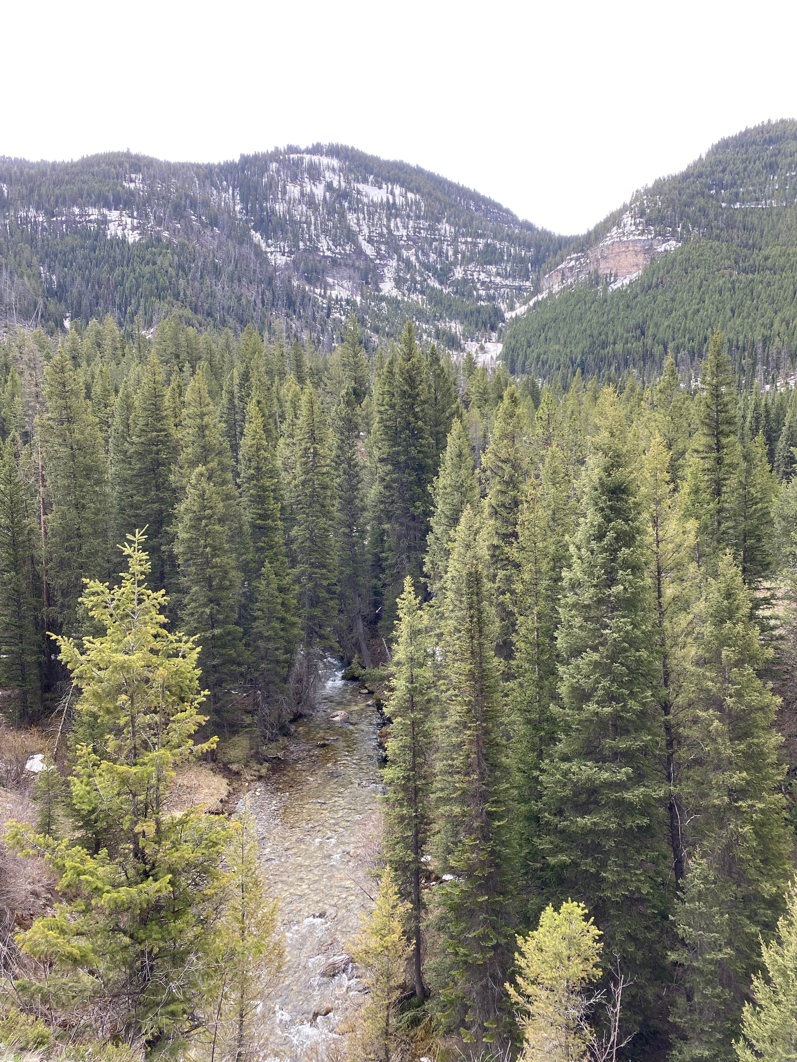 Camper-submitted photo at Darby Canyon Dispersed near Felt, ID