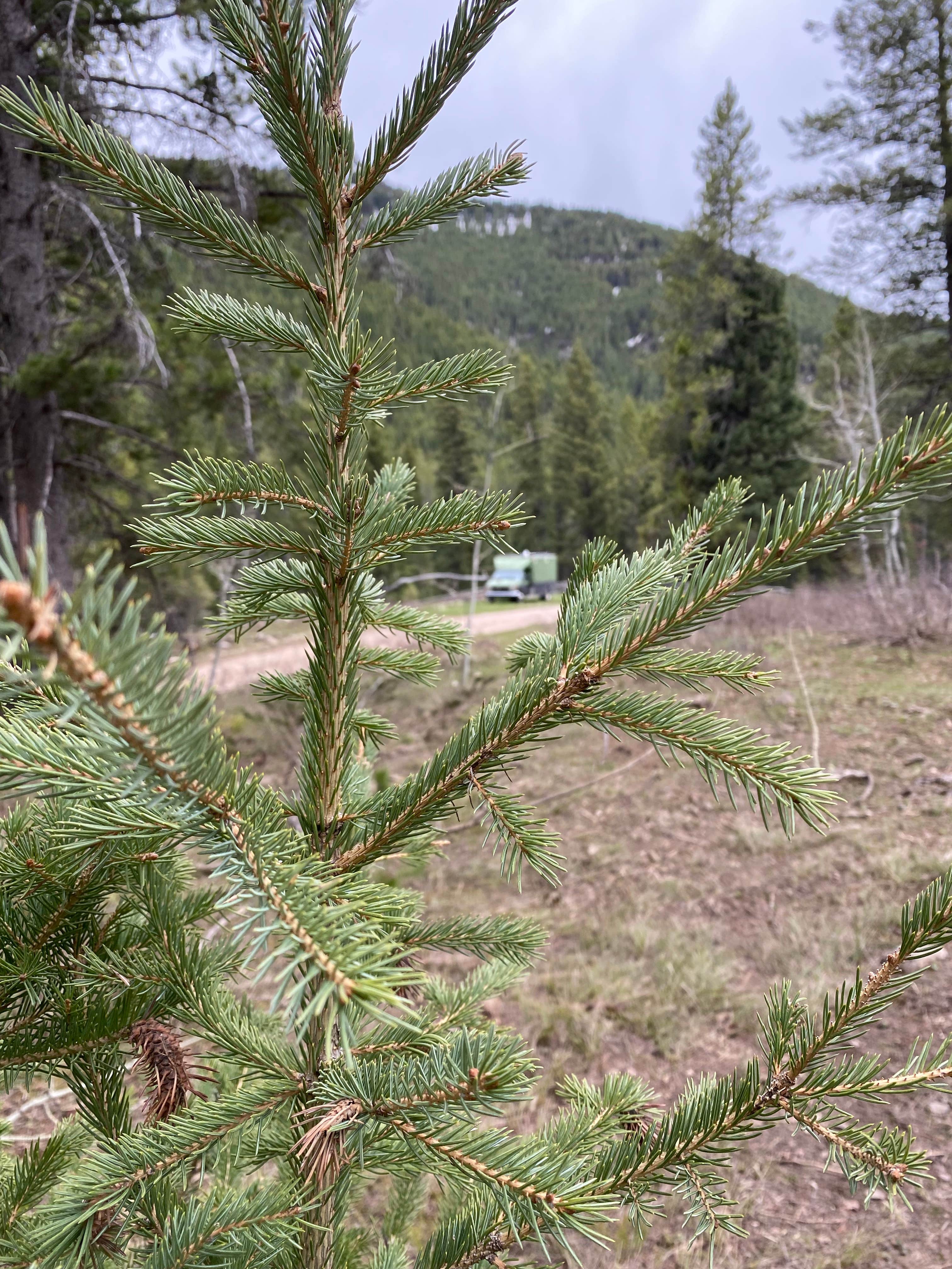 Camper-submitted photo at Darby Canyon Dispersed near Felt, ID