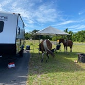 Review photo of Bayside Assateague Campground — Assateague Island National Seashore by Monica K., June 27, 2022
