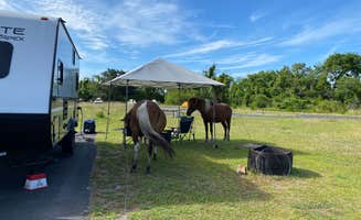 Monica K.'s photo of camping with a horse at Bayside Assateague Campground — Assateague Island National Seashore in Maryland