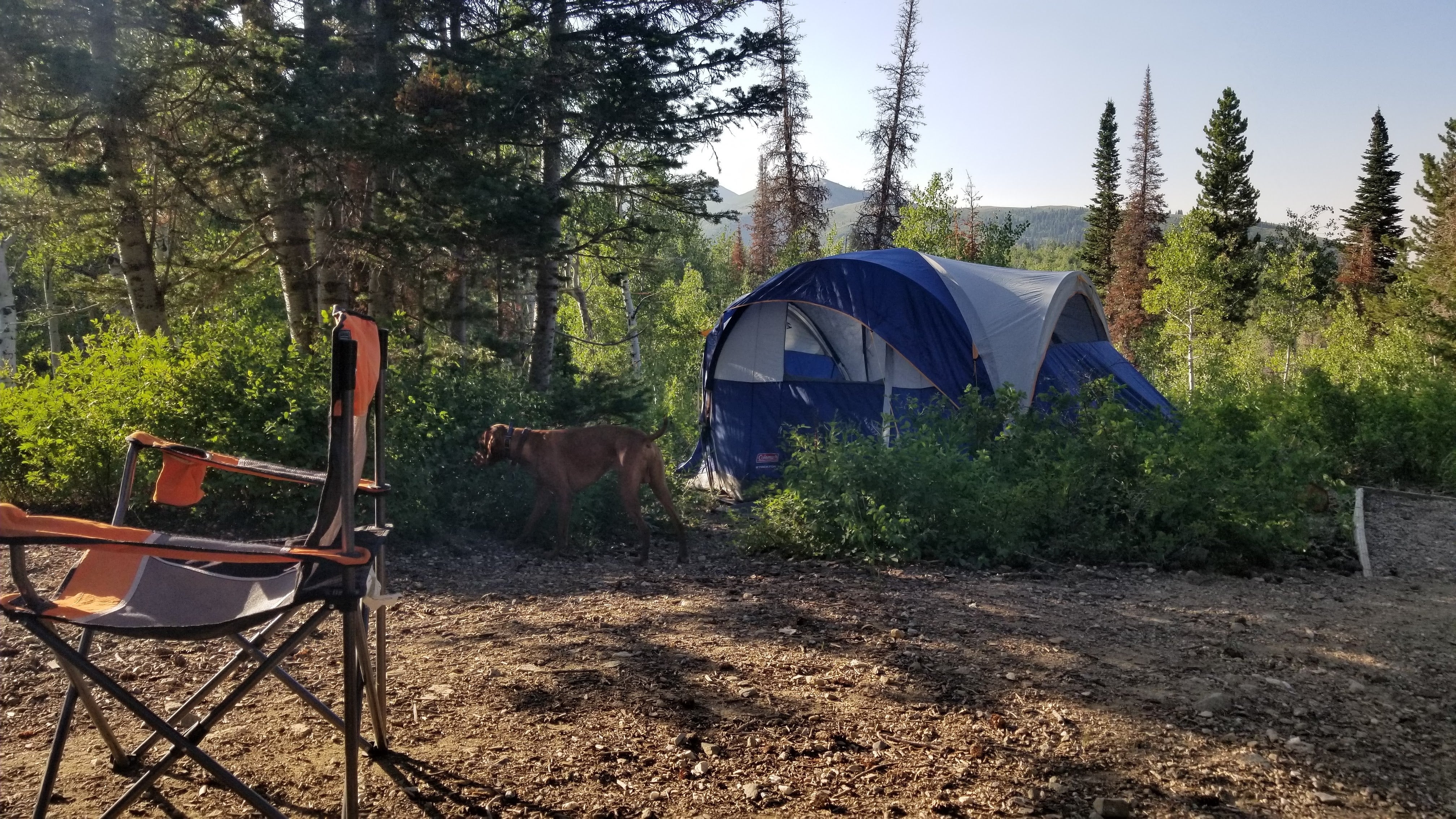 Camper submitted image from Bountiful Peak Campground - 1