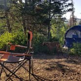 Review photo of Bountiful Peak Campground by Adam D., June 27, 2022