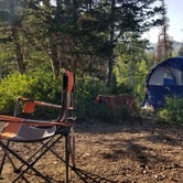 Review photo of Bountiful Peak Campground by Adam D., June 27, 2022
