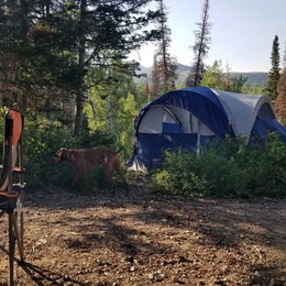 Public Campgrounds: Bountiful Peak Campground