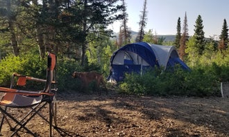 Camping near Dixie Creek Campground — East Canyon State Park: Bountiful Peak Campground, Centerville, Utah