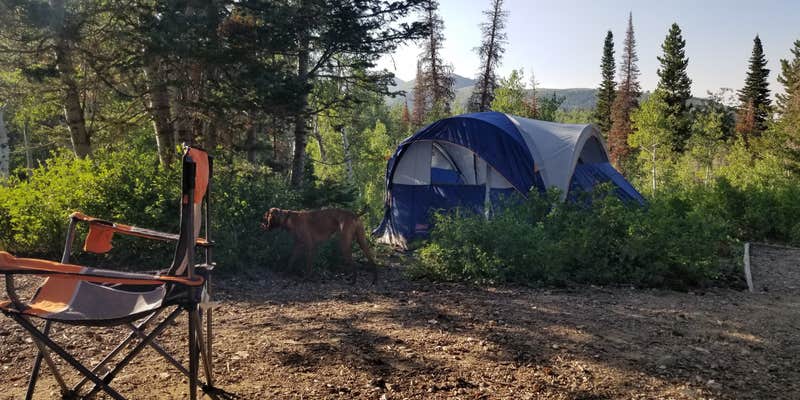 Camper submitted image from Bountiful Peak Campground