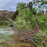 Review photo of Joes Valley Campground by Steven M., June 27, 2022