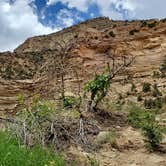 Review photo of Joes Valley Campground by Steven M., June 27, 2022