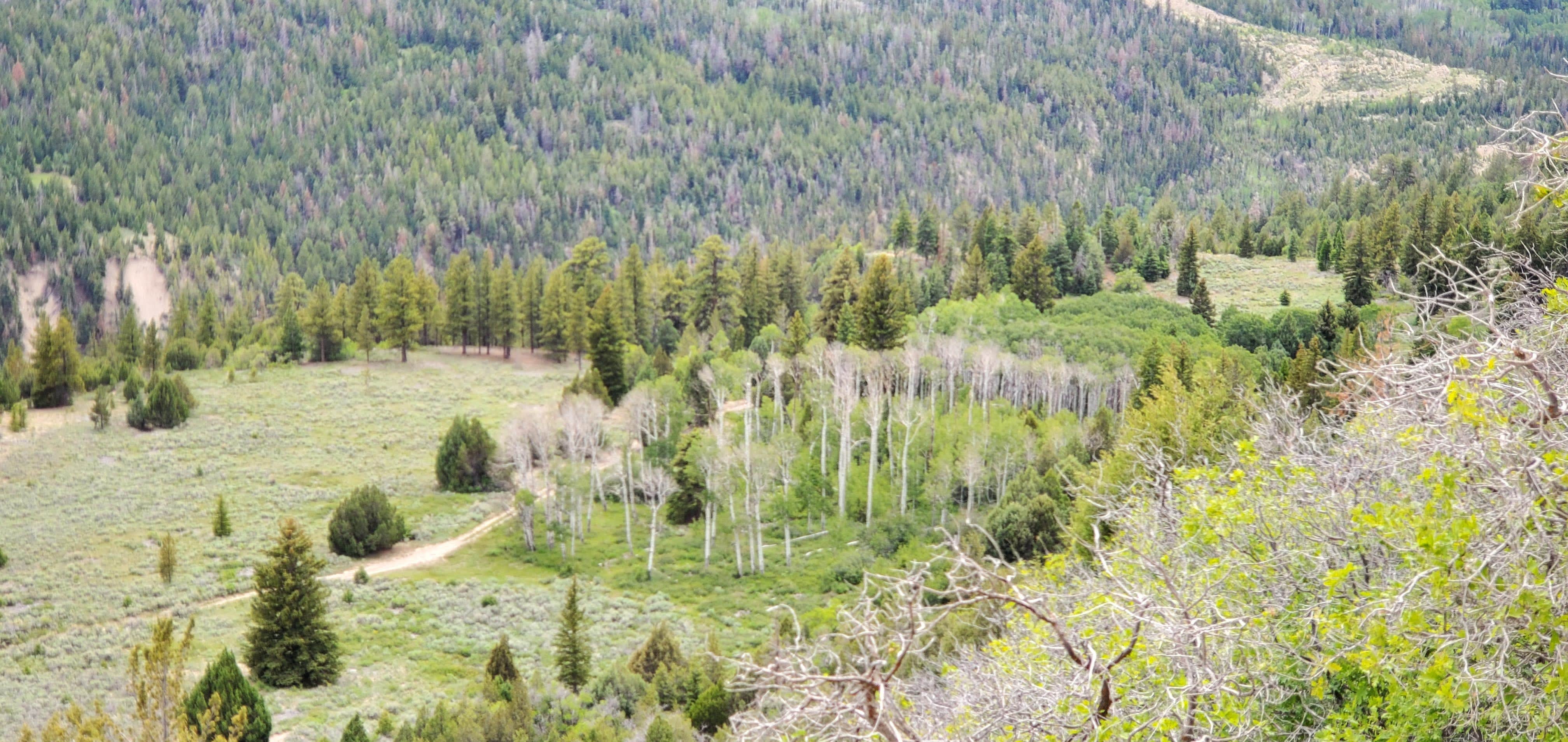 Camper-submitted photo at Joes Valley Campground near Spring City, UT