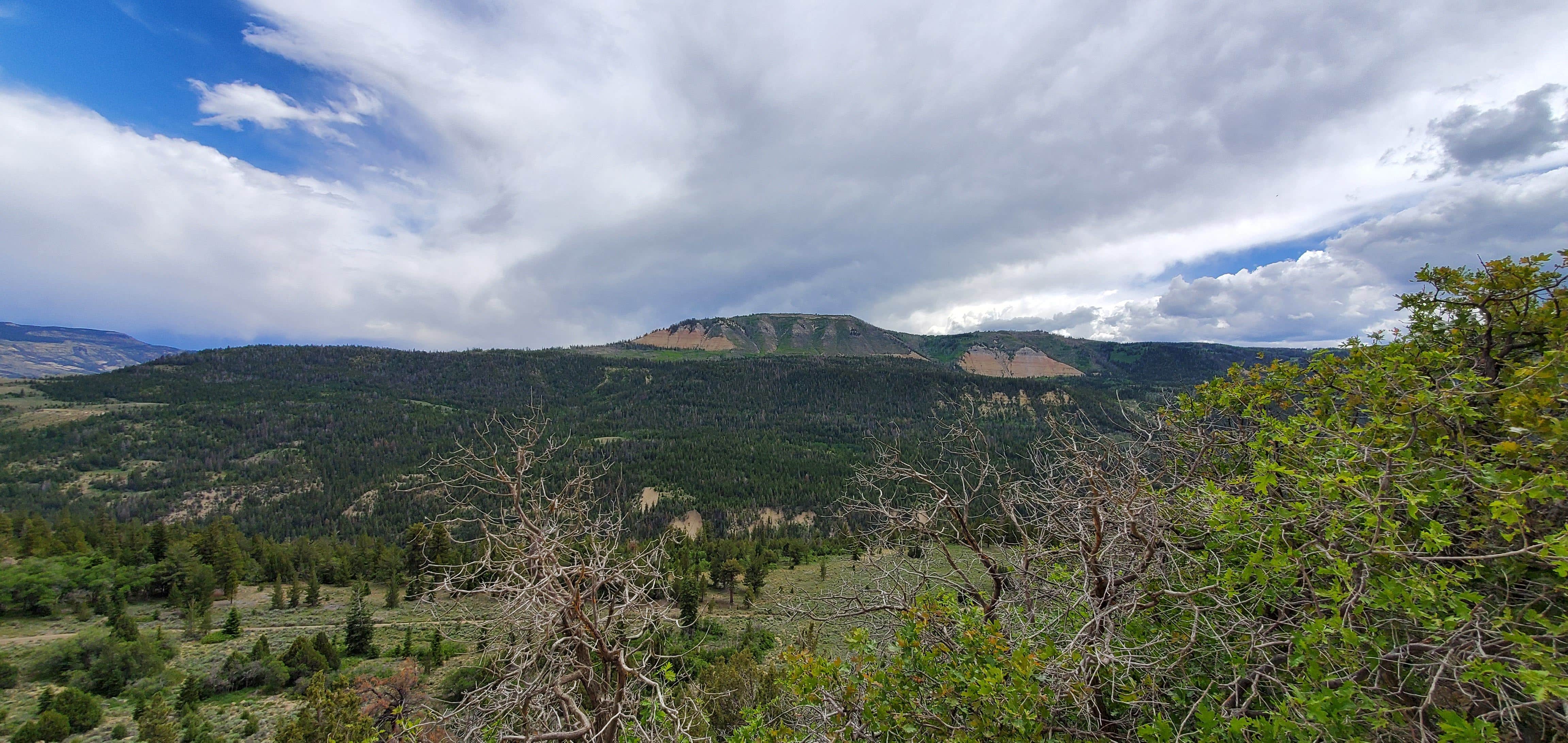 Camper-submitted photo at Joes Valley Campground near Fairview, UT