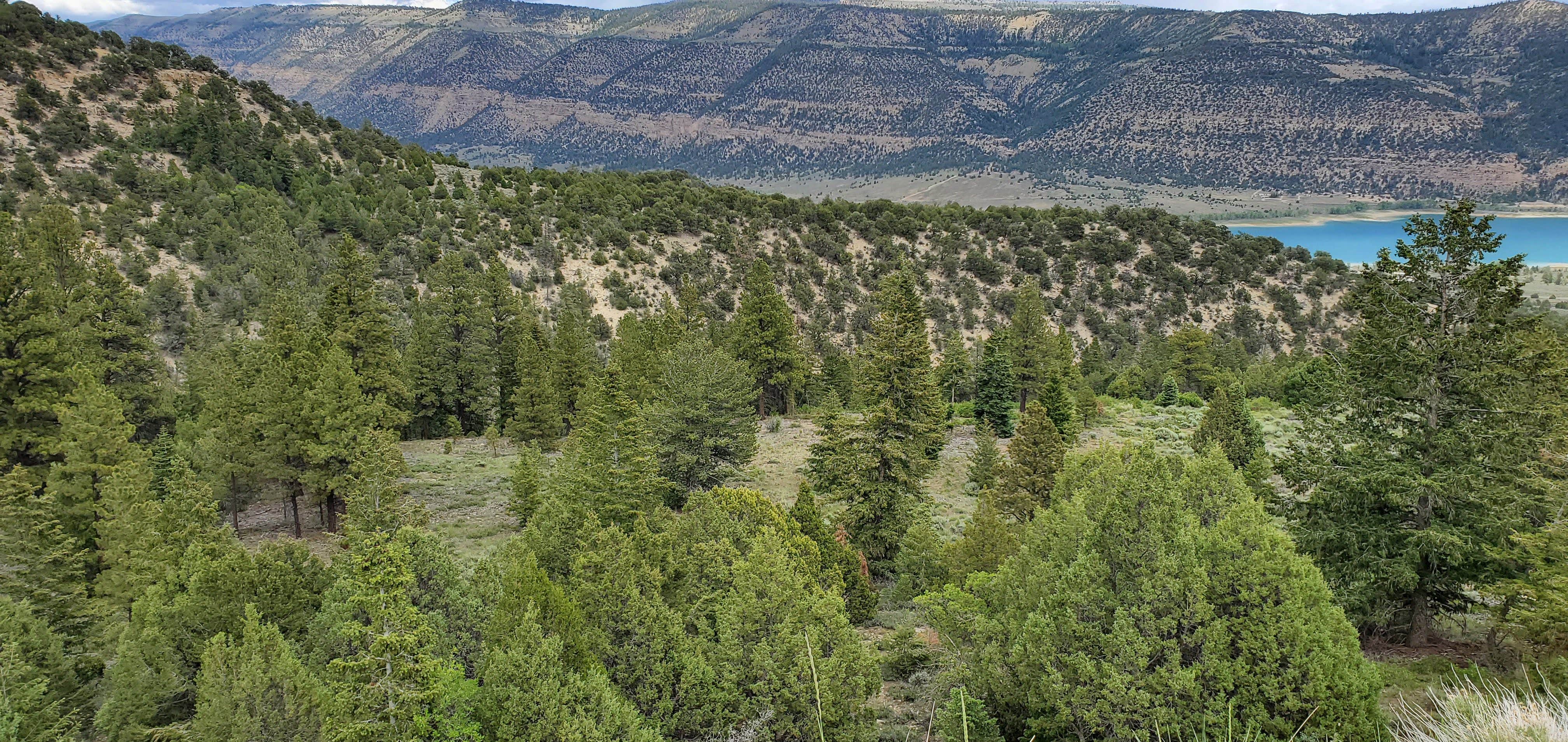 Camper-submitted photo at Joes Valley Campground near Fairview, UT