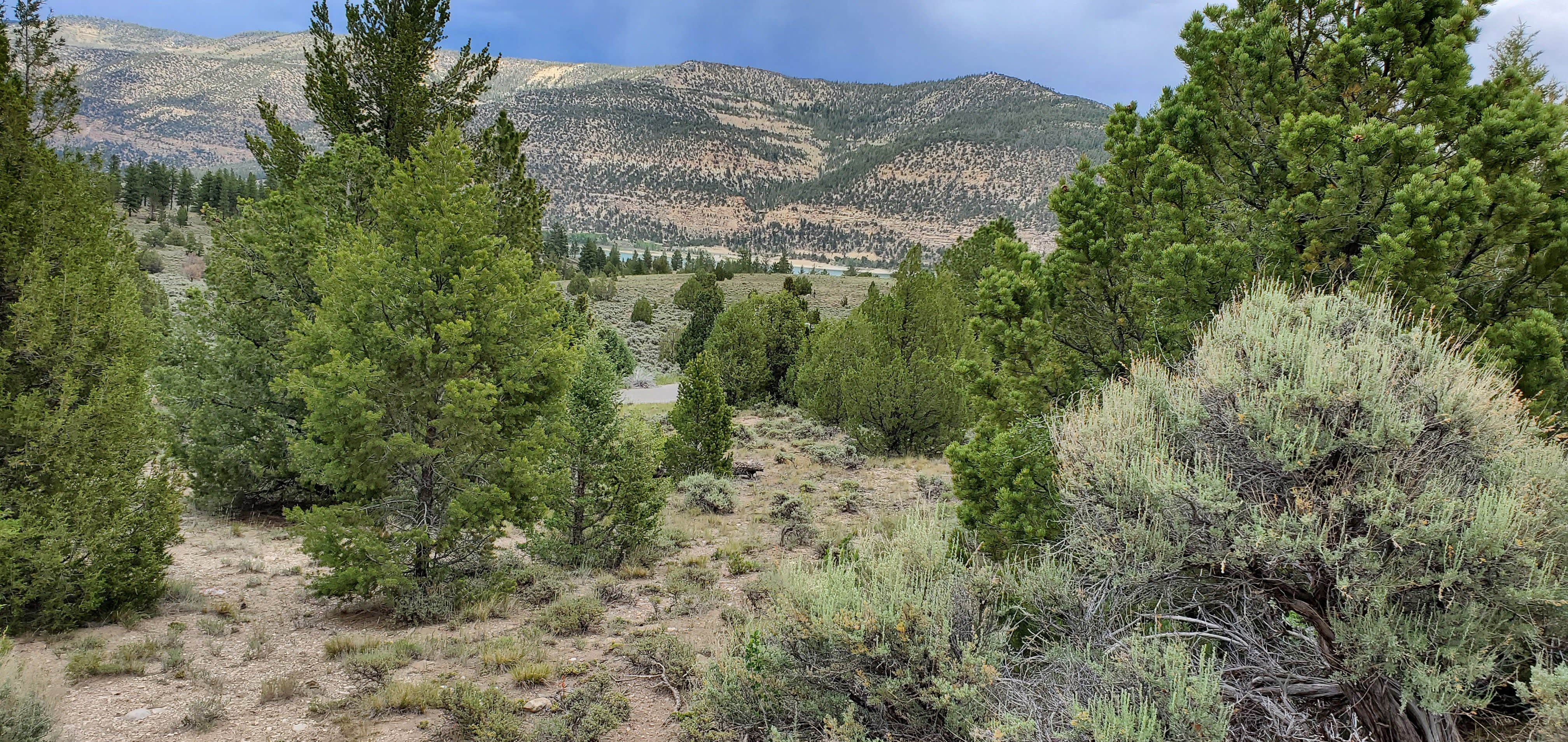 Camper-submitted photo at Joes Valley Campground near Fairview, UT
