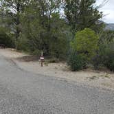 Review photo of Joes Valley Campground by Steven M., June 27, 2022