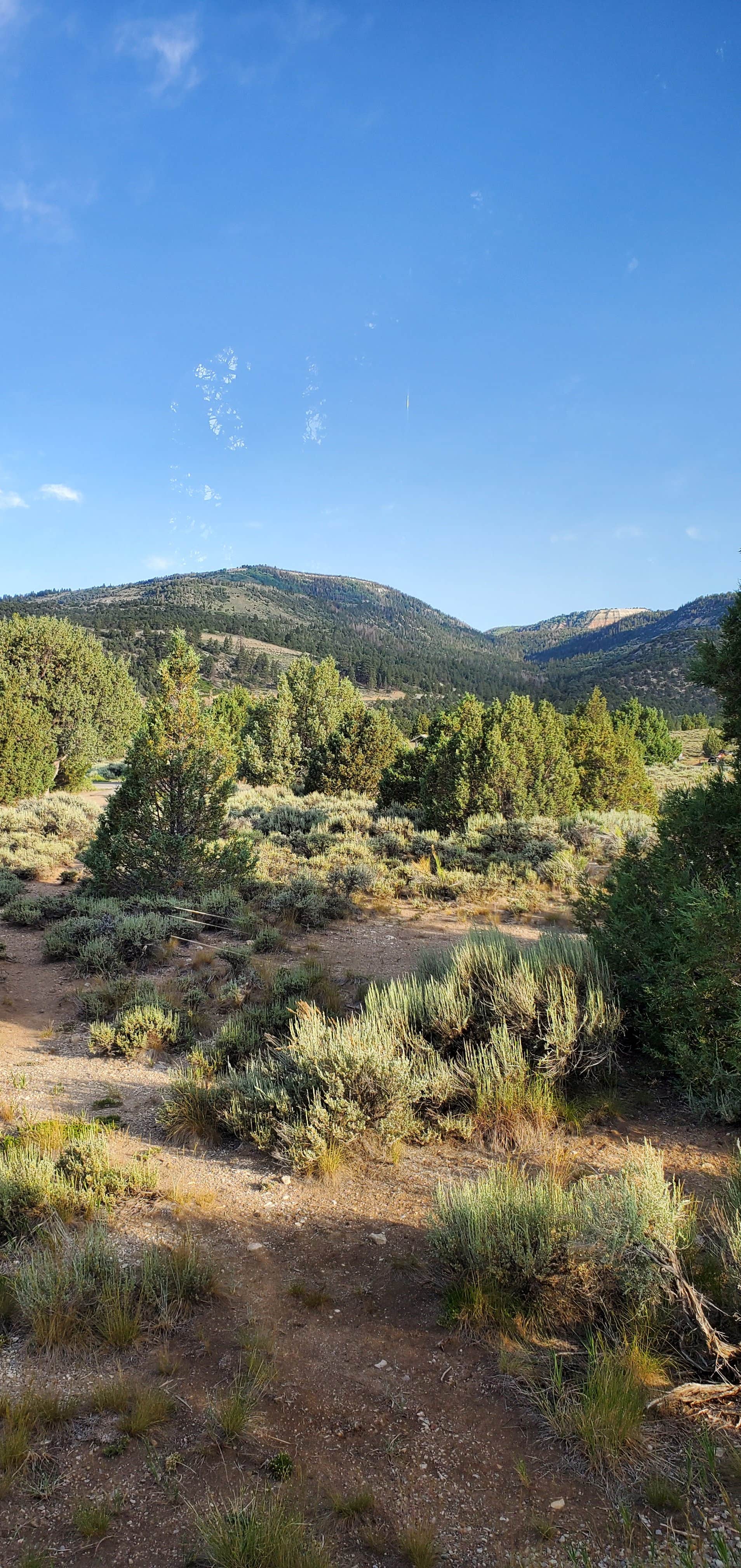 Camper-submitted photo at Joes Valley Campground near Fairview, UT