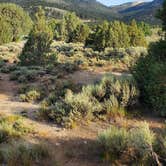 Review photo of Joes Valley Campground by Steven M., June 27, 2022