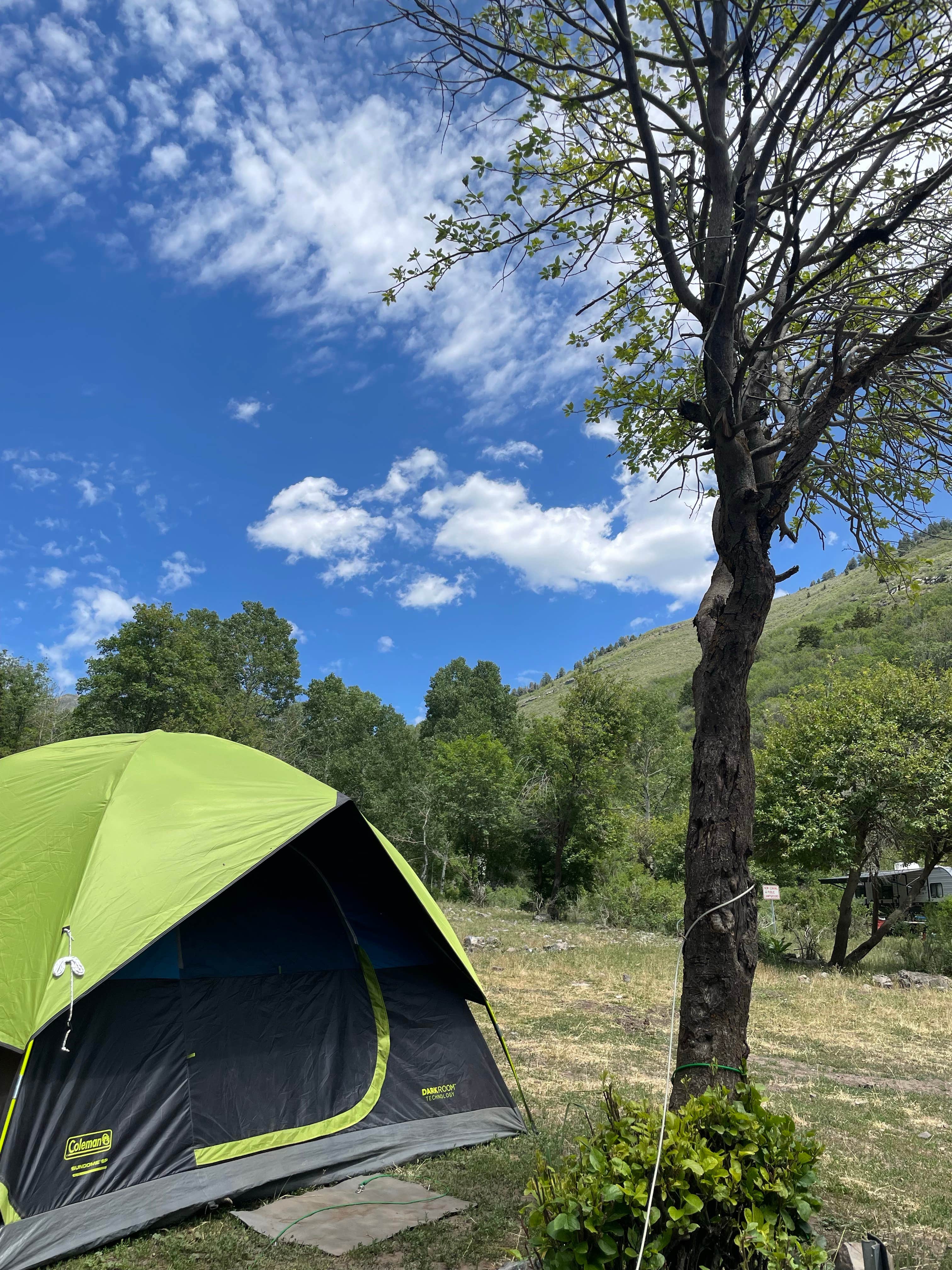 Camper submitted image from Ophir Canyon Campground  - 1
