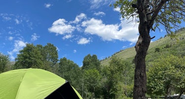 Ophir Canyon Campground 