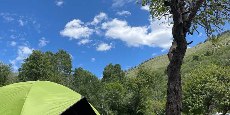 Camper submitted image from Ophir Canyon Campground