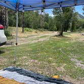 Review photo of Ophir Canyon Campground  by Kati C., June 27, 2022