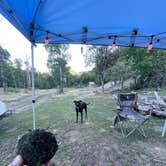 Review photo of Ophir Canyon Campground by Kati C., June 27, 2022