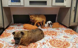 Steven M.'s photo of camping with pets at Manti - La Sal KOA near Wellington, UT