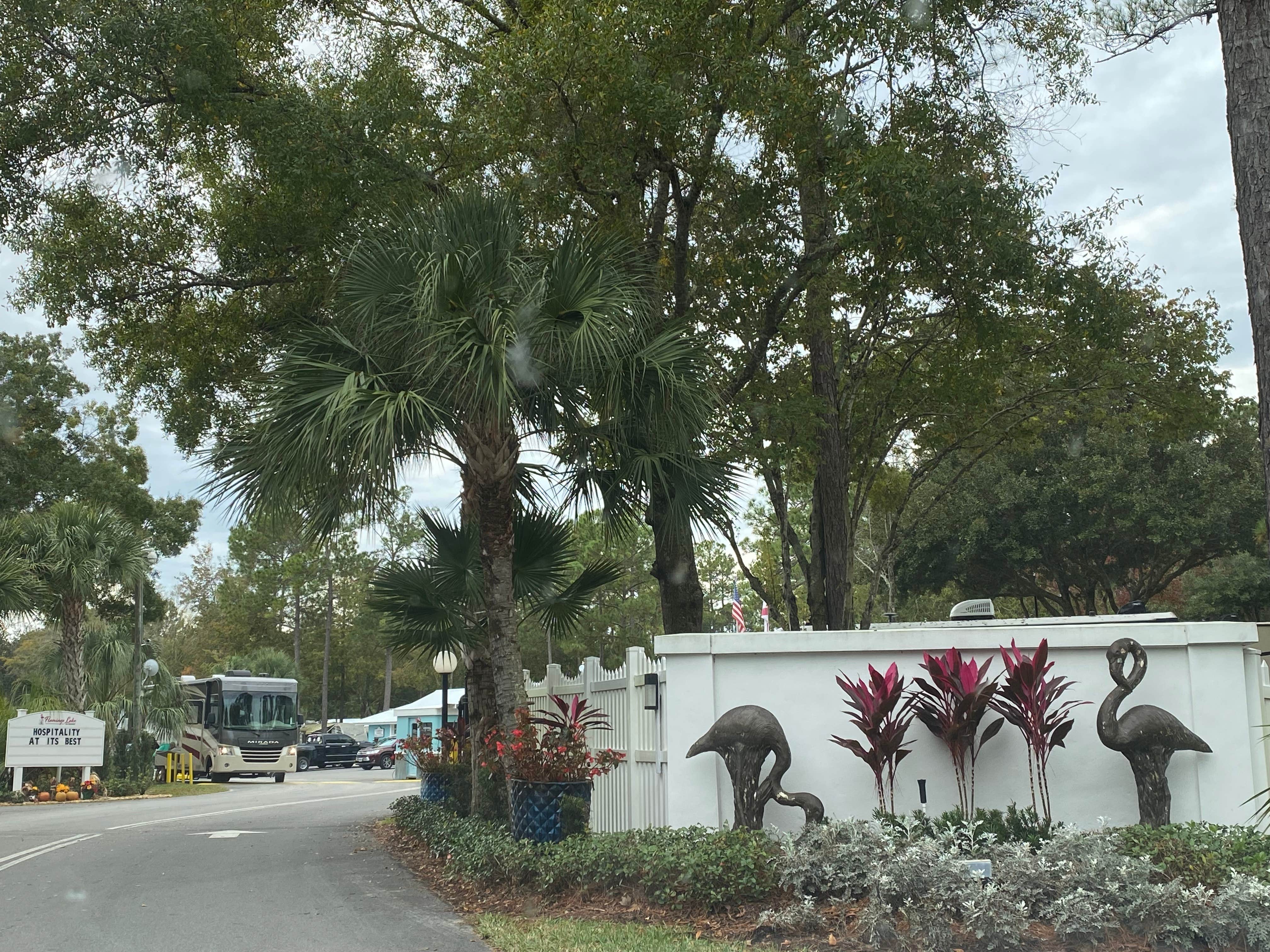 Camper submitted image from Flamingo Lake RV Resort - 3