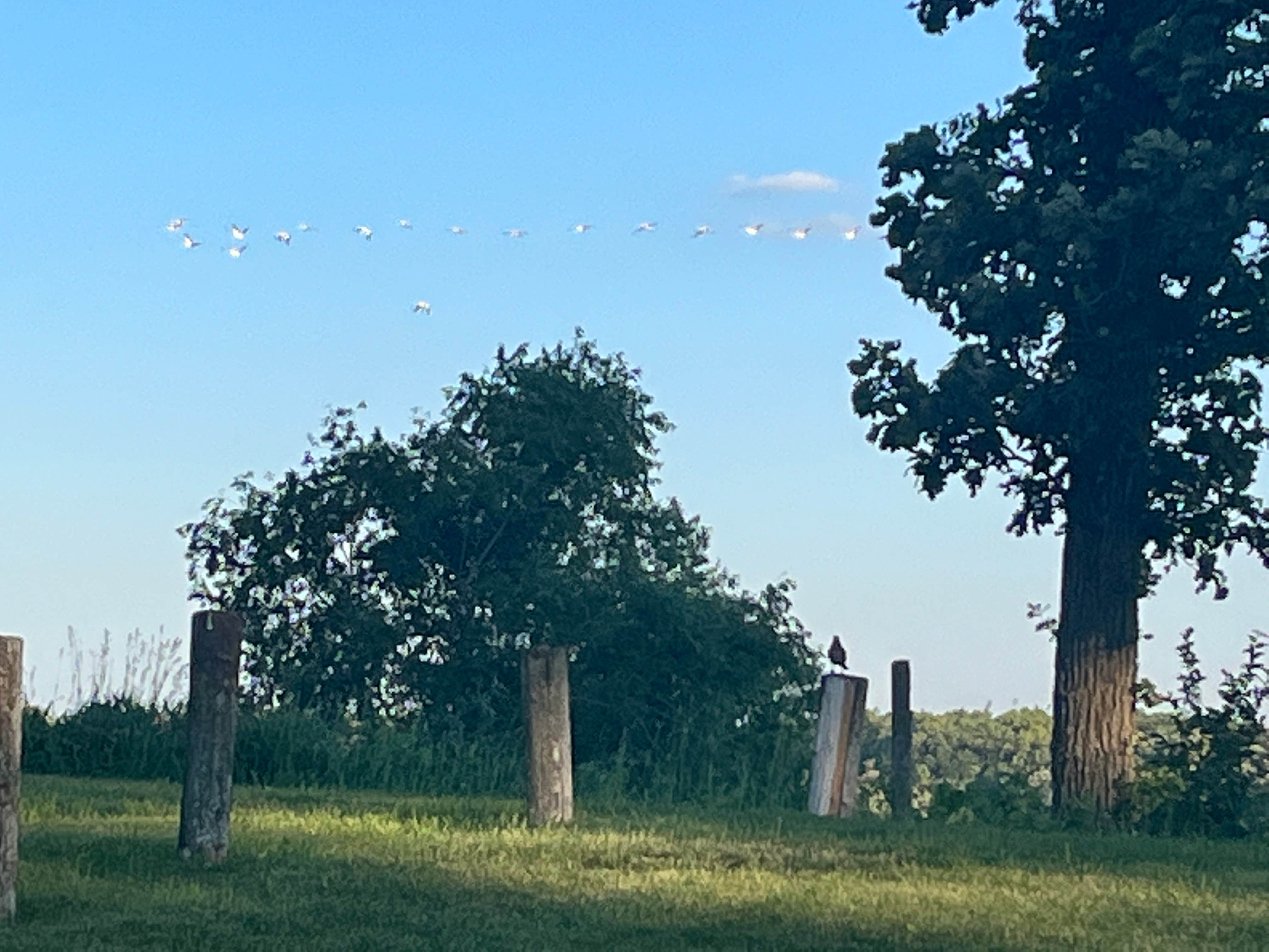 Camper-submitted photo at Silver Lake County Park near Delhi, IA