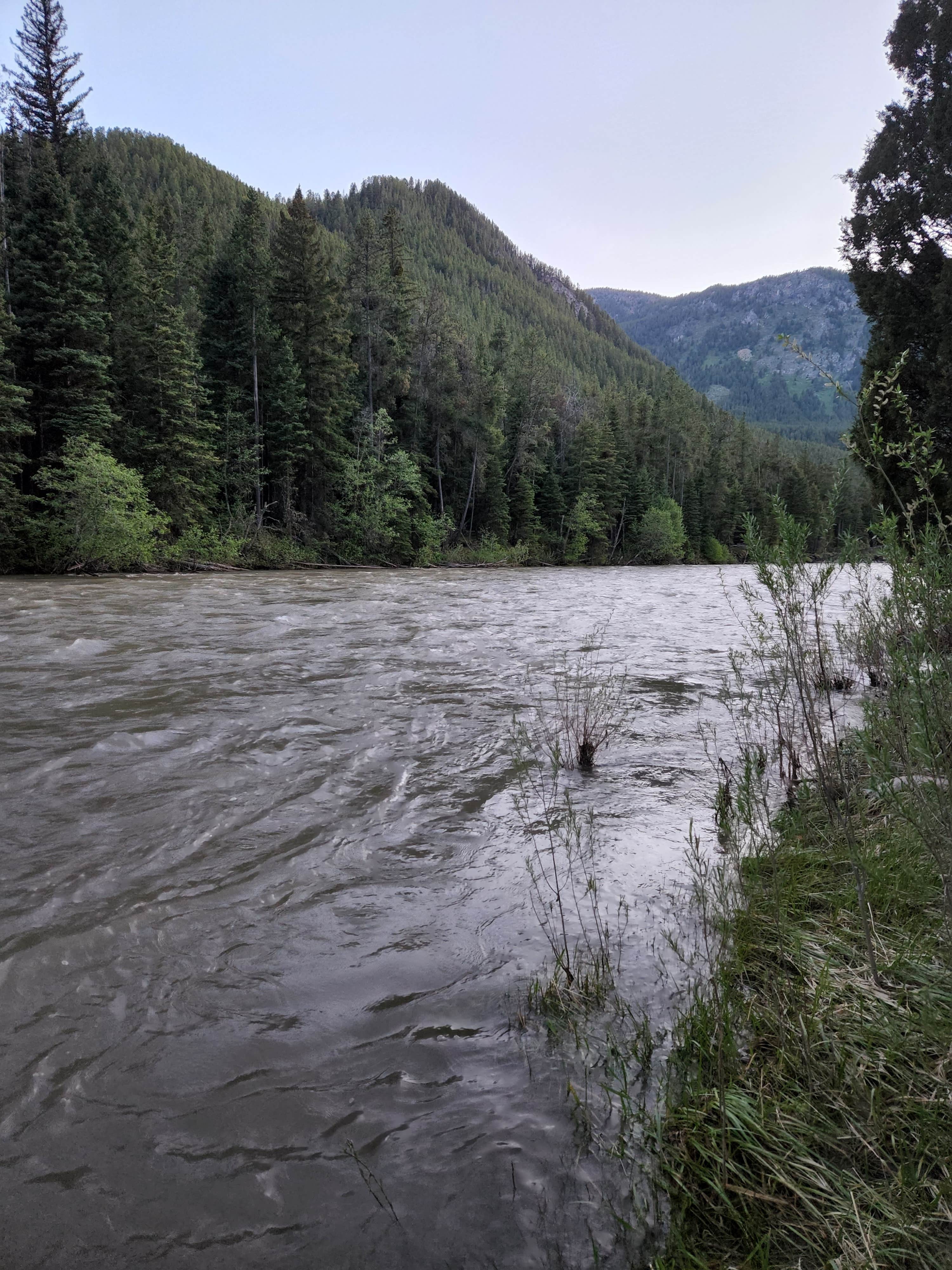 Camper-submitted photo at Greek Creek Campground near Big Sky, MT
