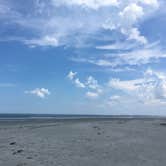 Review photo of Sea Camp Campground — Cumberland Island National Seashore by Michelle J., July 17, 2018